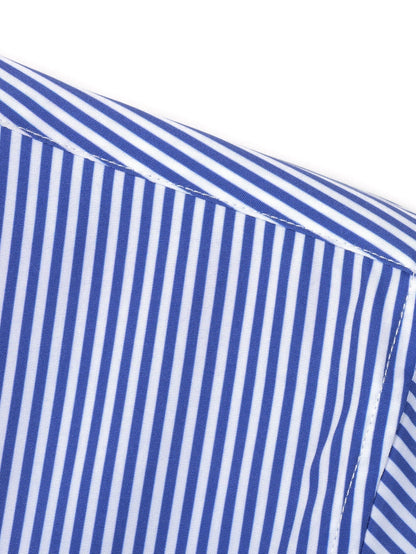 Set Stripe Button